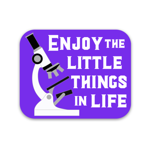 Enjoy the Little Things Decal